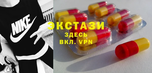ECSTASY Богданович