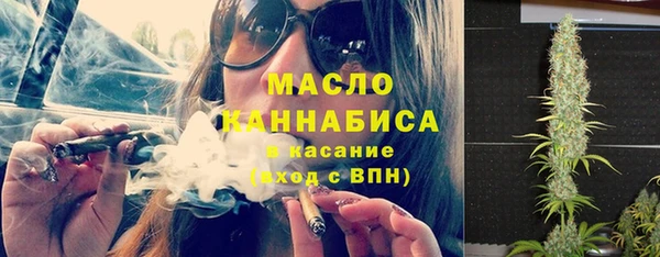 ECSTASY Богданович