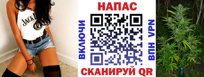где найти   Дно  Каннабис MAZAR 